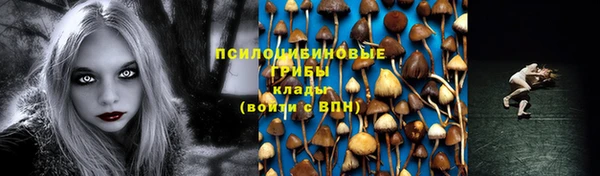 дживик Алзамай