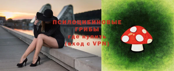 дживик Алзамай