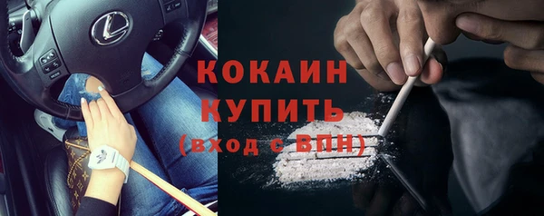 дживик Алзамай