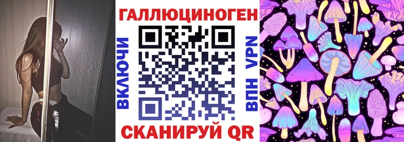 даркнет сайт Находка Псилоцибиновые грибы Psilocybe