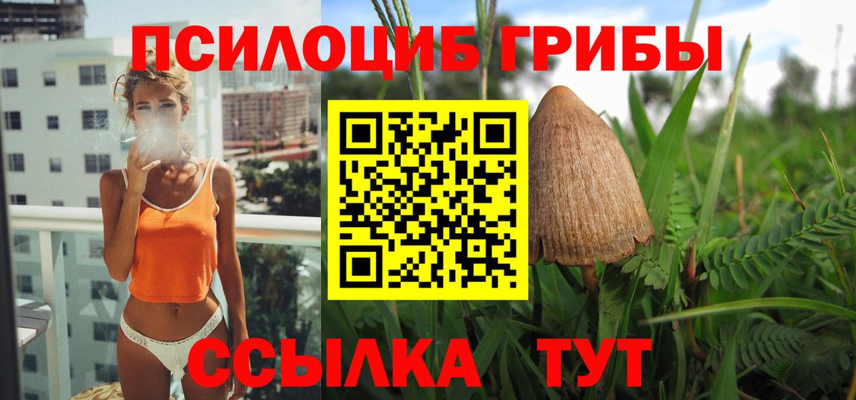 Галлюциногенные грибы мицелий Находка
