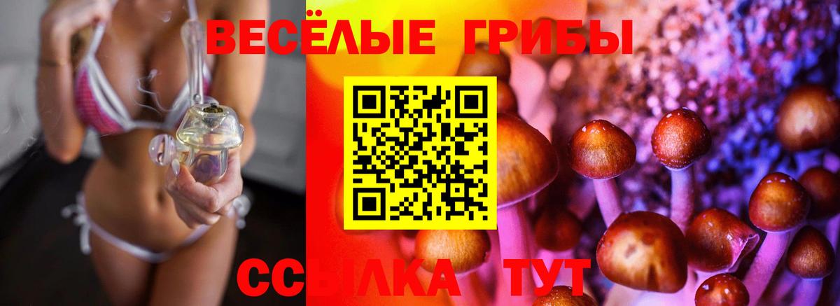 купить  цена  Галлюциногенные грибы MAGIC MUSHROOMS  Вход с VPN  Находка 